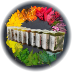 shades_colour_pallette